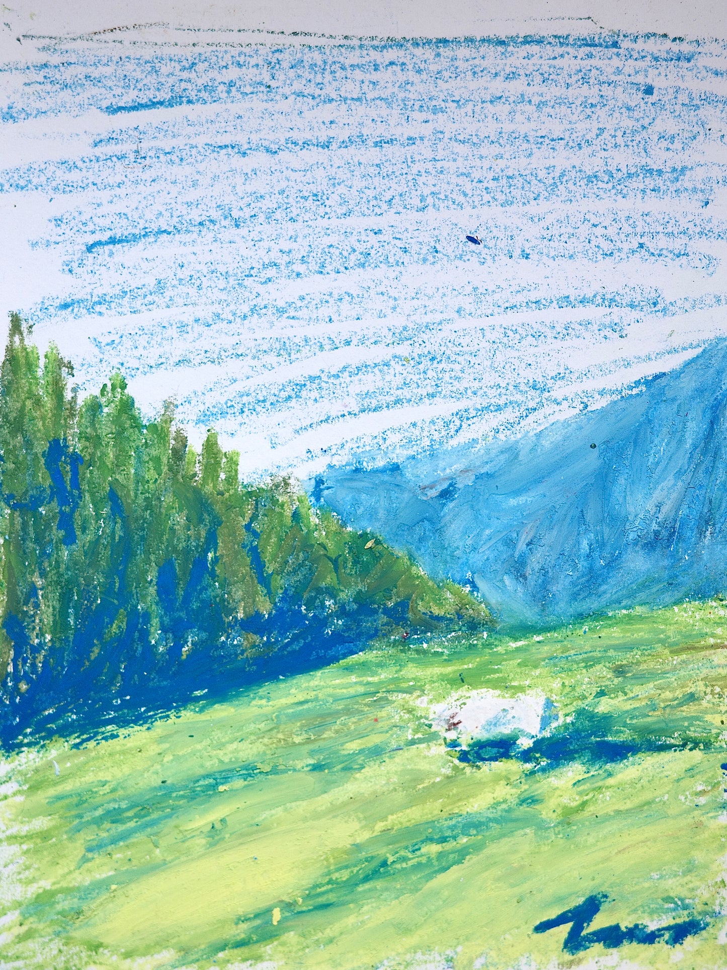 Sheep
