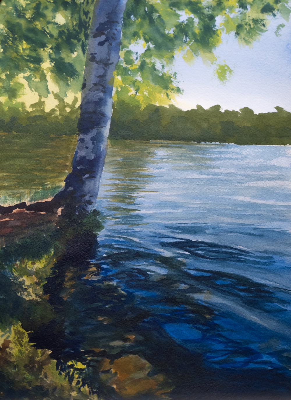 Birch by the water print