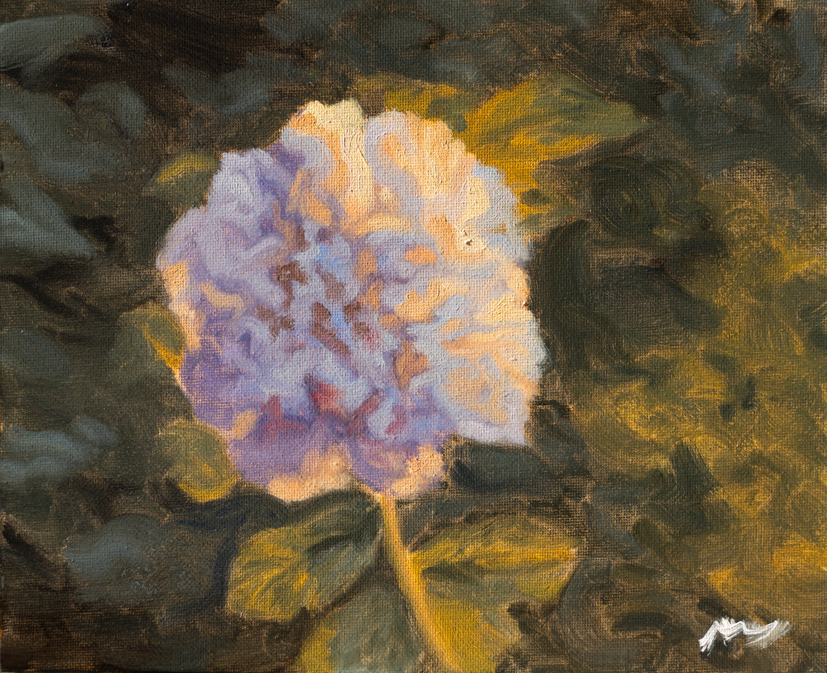 Blomma