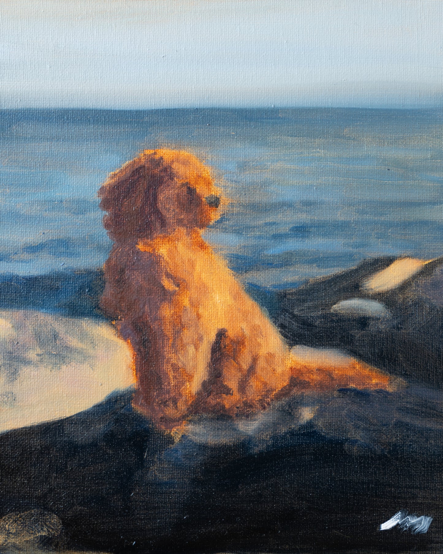 Frans in Skagen