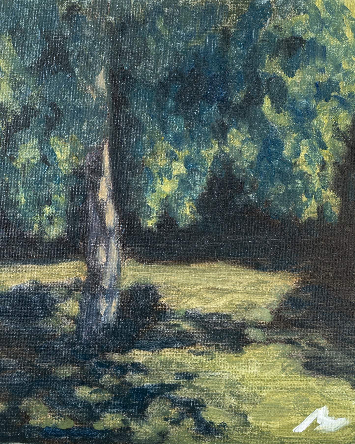 Birch