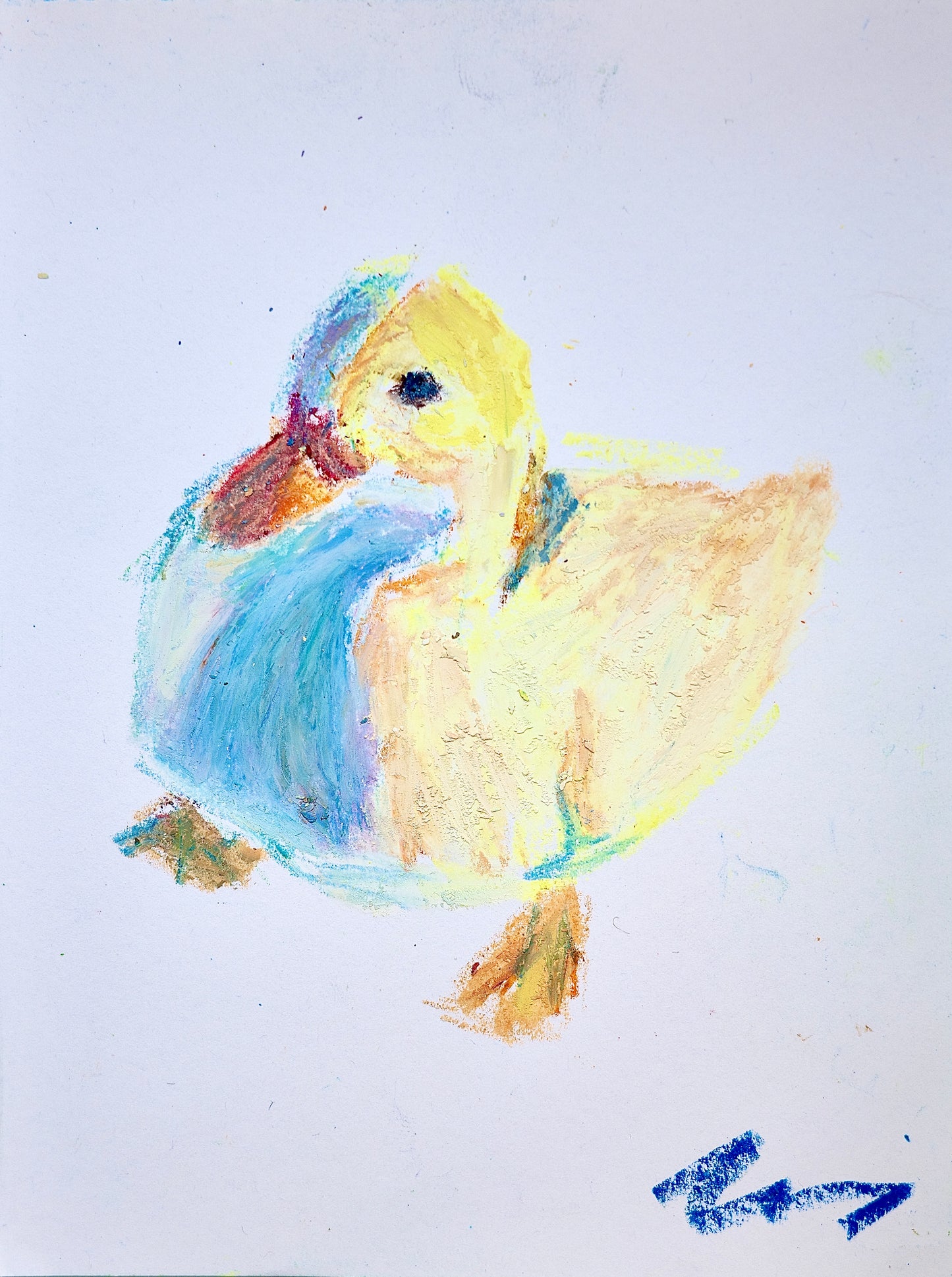 Duck