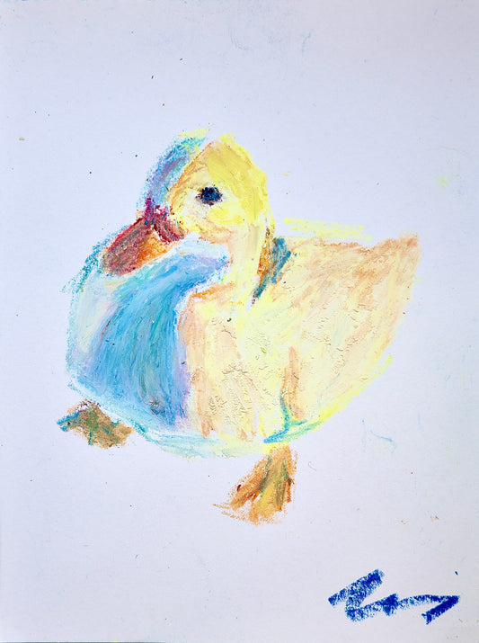 Duck
