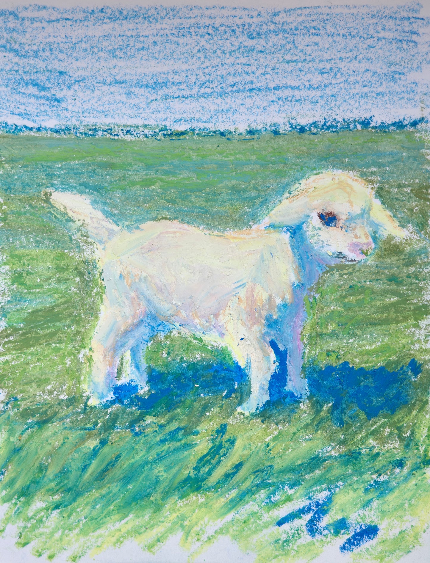 Lamb