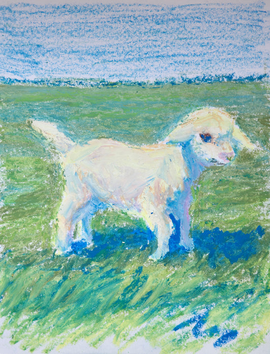 Lamb