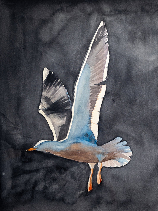 Seagull print