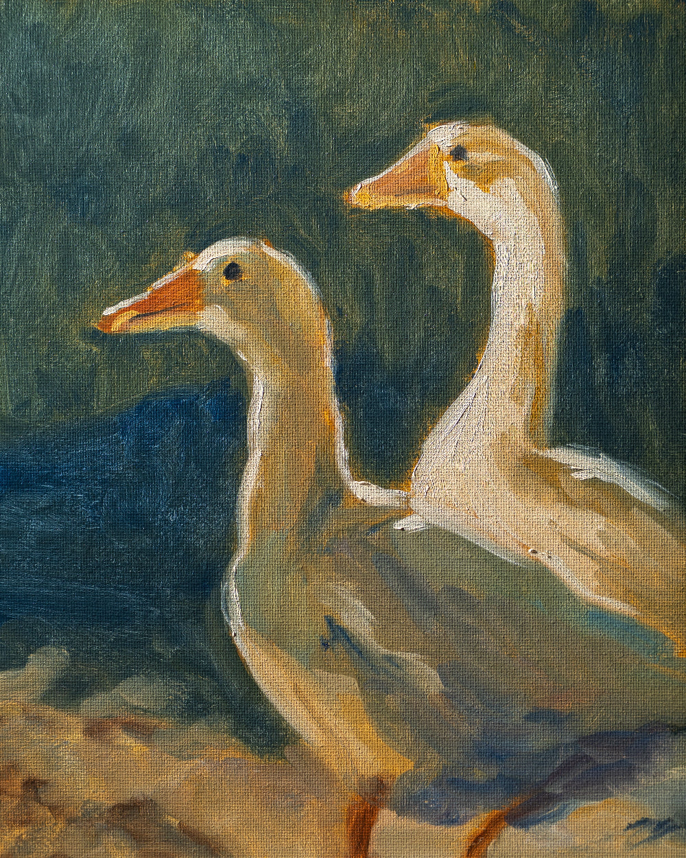Two ducks standing on a shore with a natural background