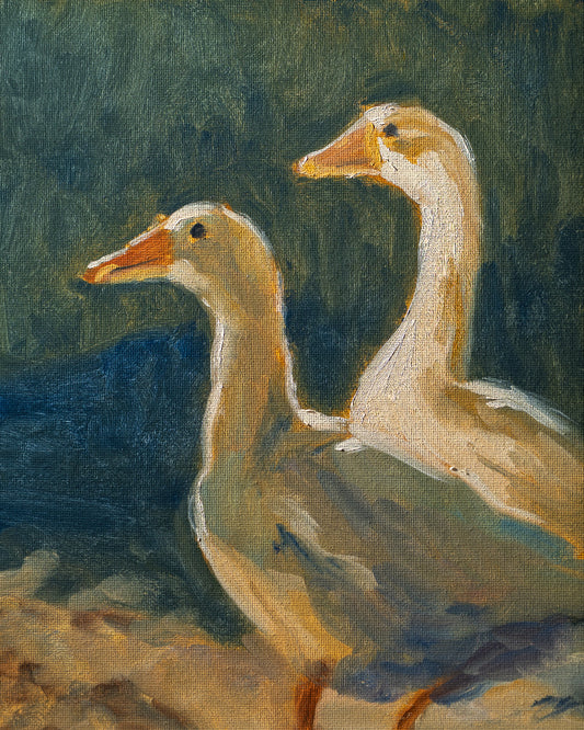 Two ducks standing on a shore with a natural background
