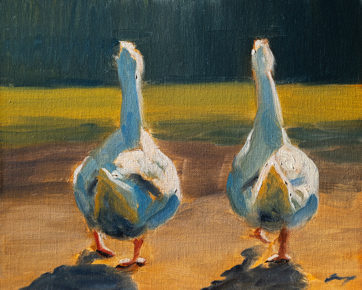 Two geese standing on a rock with a field and dark sky in the background
