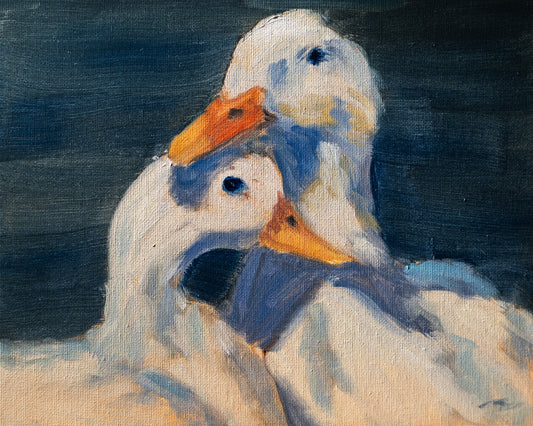 Two ducks with orange beaks on a dark blue background