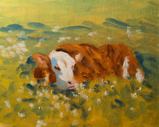 Sleeping cow print