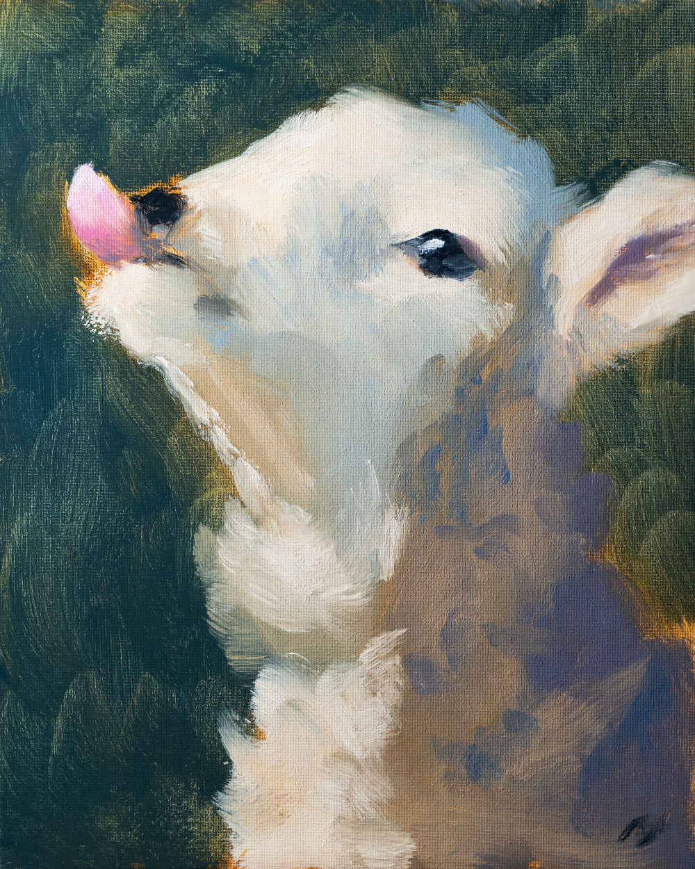Close-up of a white lamb with a pink tongue against a green background