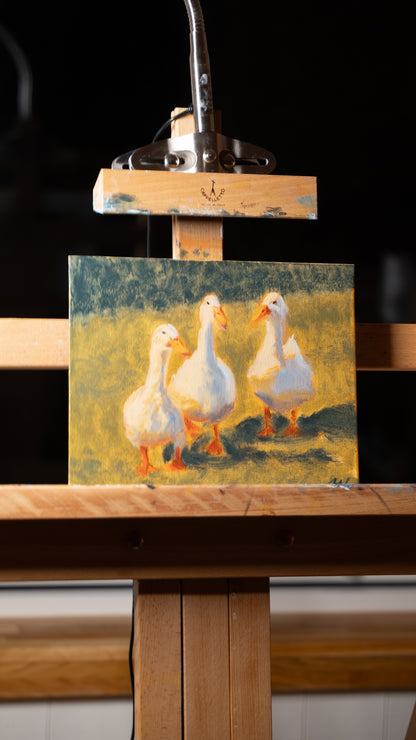 Waddle of ducks