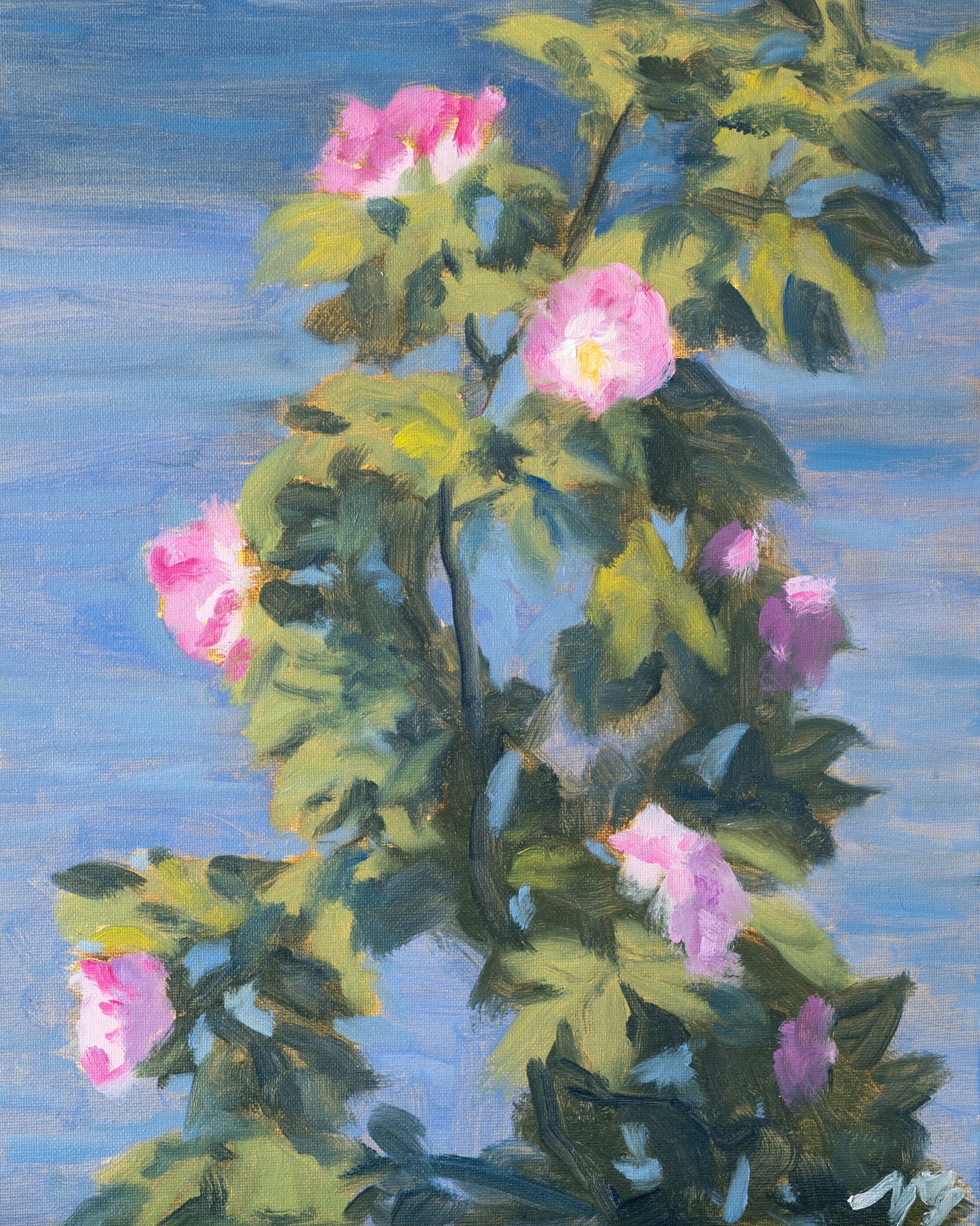 Karins blommor